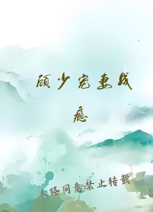 顾少宠妻成瘾 小说